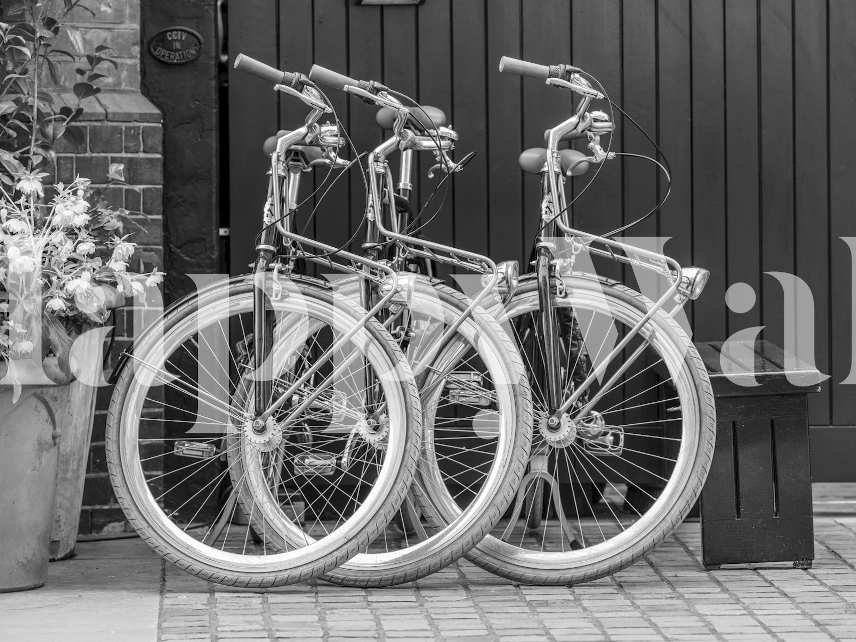 Cycles parked outside in black and white wallpaper