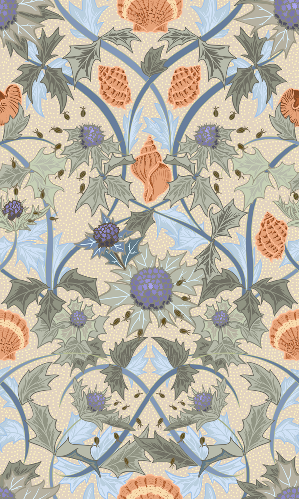 Beach thistle and shells