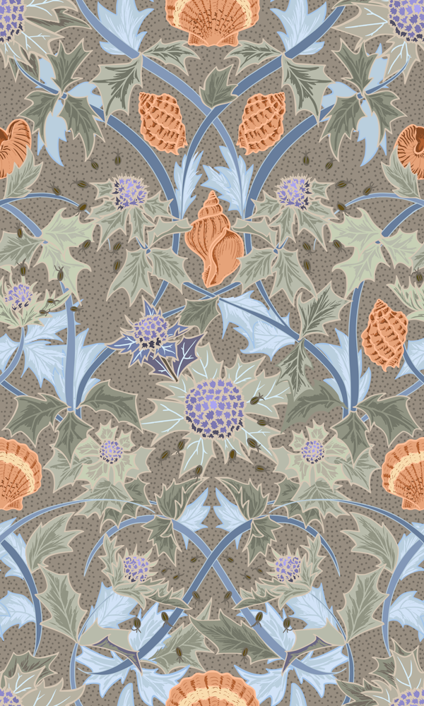 Beach thistle and shells sand