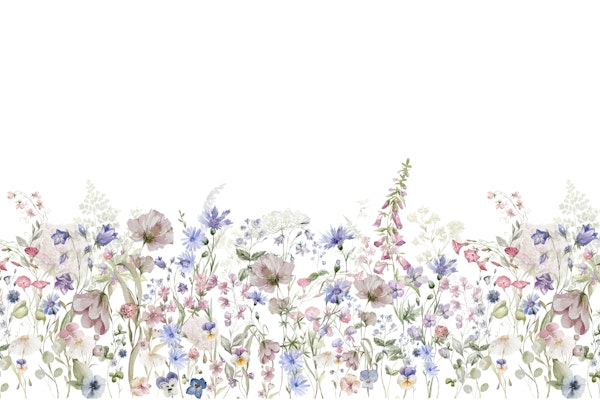 Summer Wildflowers Wildest Meadow