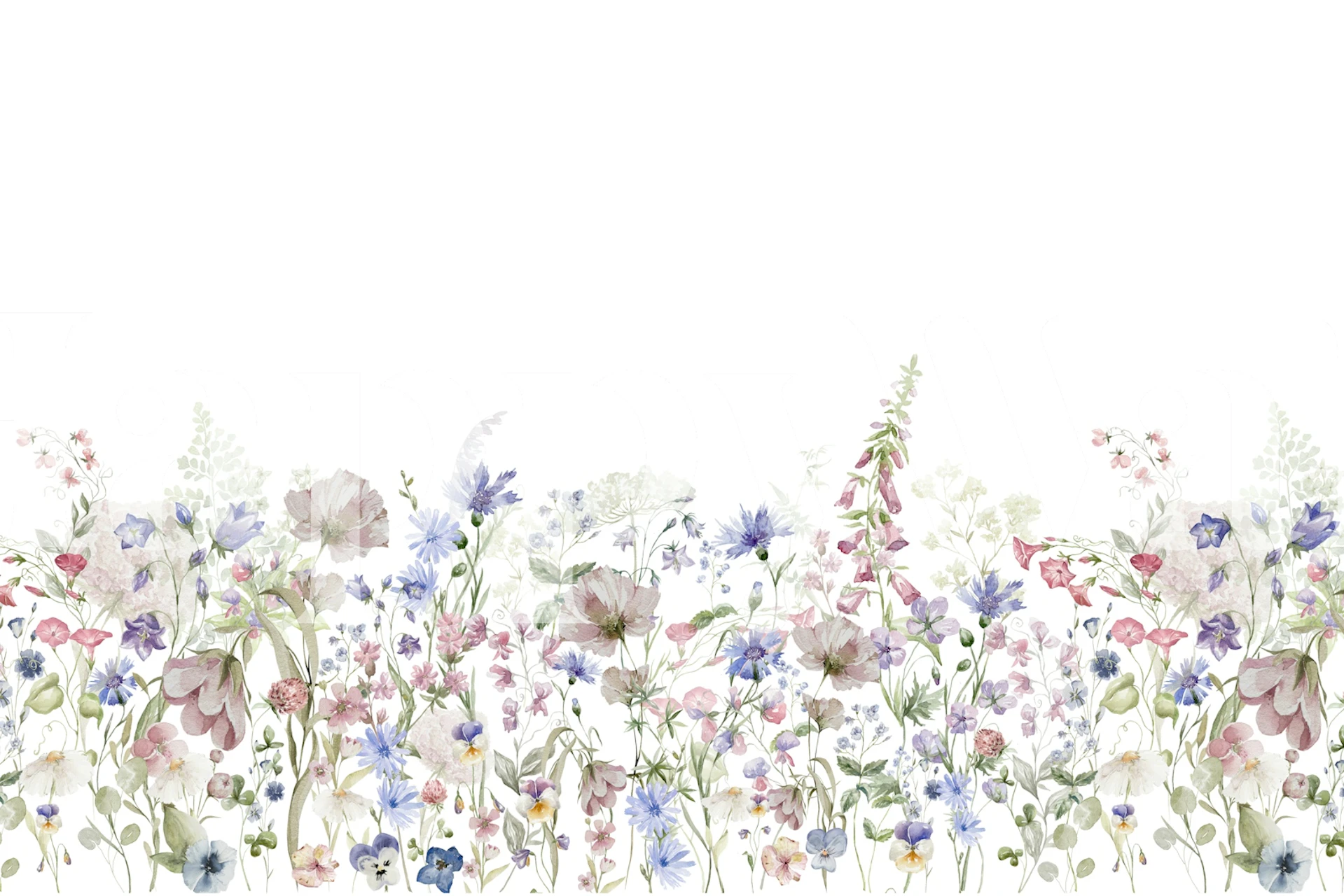 Illustration of summer wildflowers with varied colors on a white background wall mural