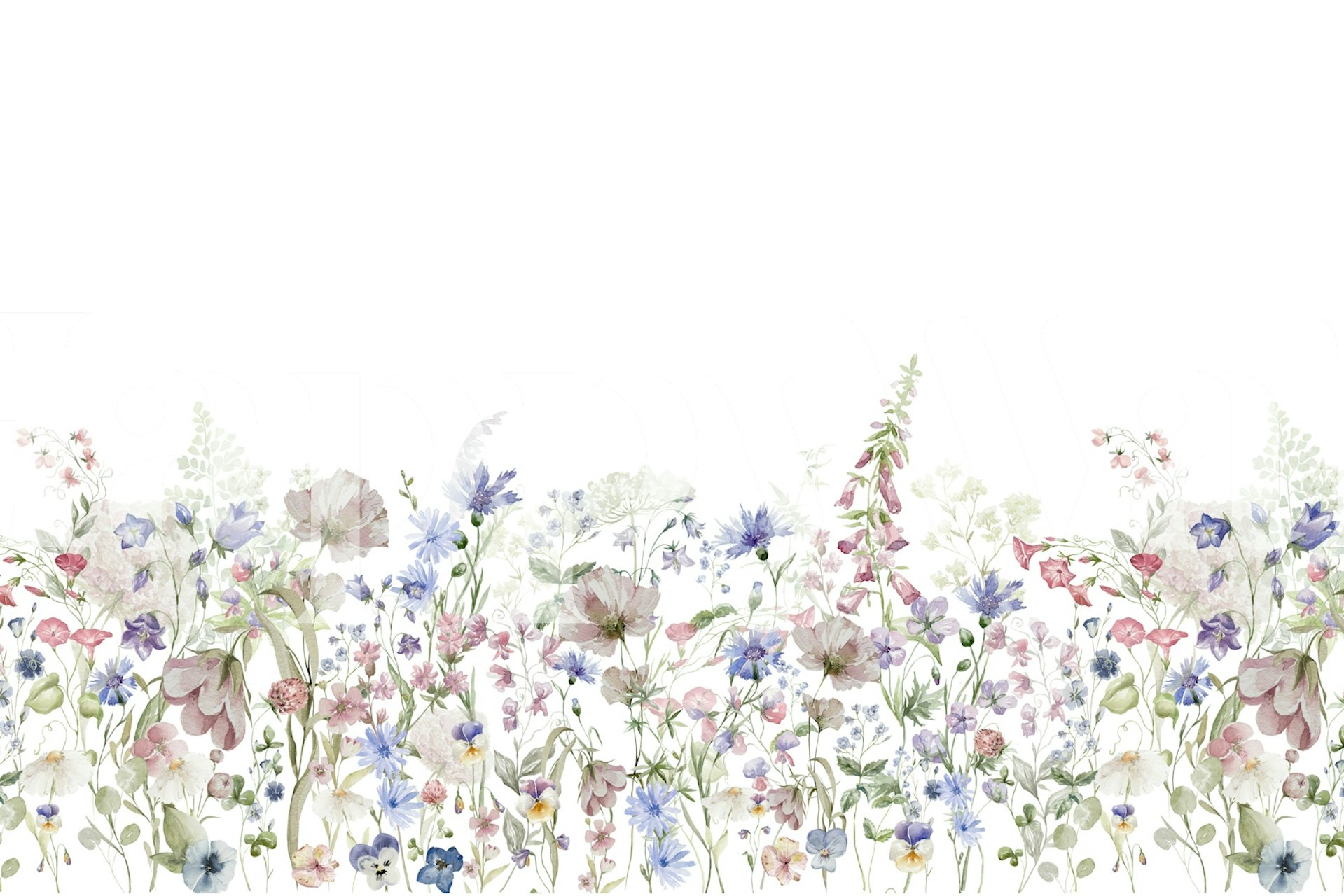 Illustration of summer wildflowers with varied colors on a white background wall mural