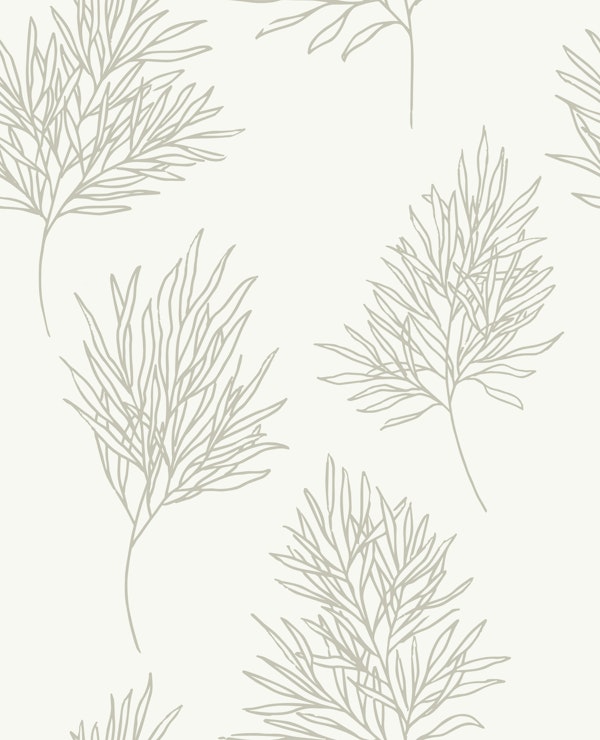 Waldspaziergang - Branches