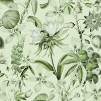 Tropical Bloom Serenade Exotic Florals Green tapety