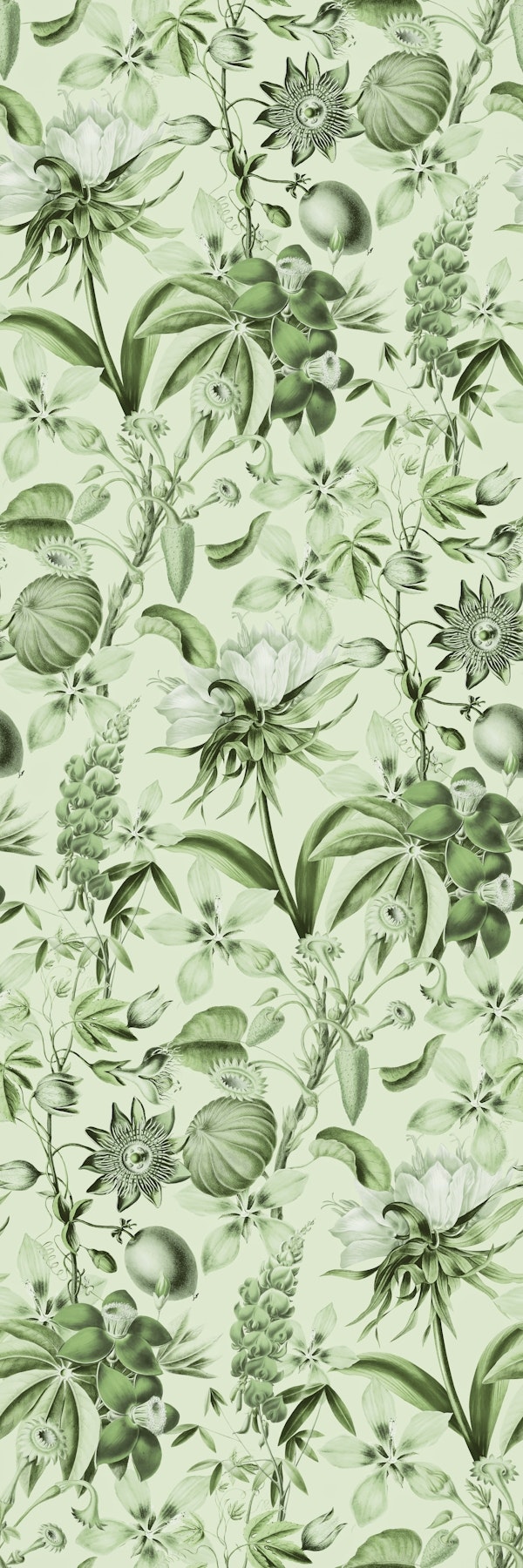 Tropical Bloom Serenade Exotic Florals Green
