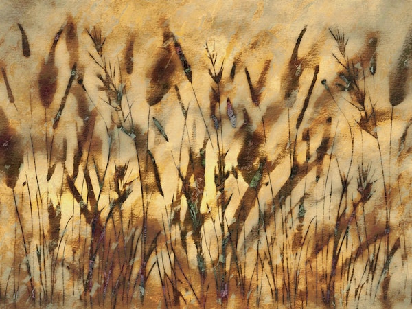 Moody Golden Sunlight Grass