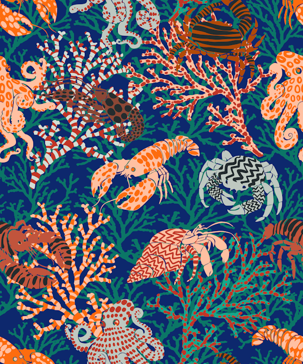 Vibrant coral reef blue and orange