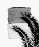 Palms Abstract Naturelle 2 tapetit