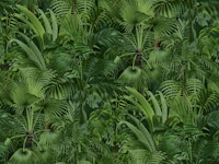 Deep Green Jungle carta da parati