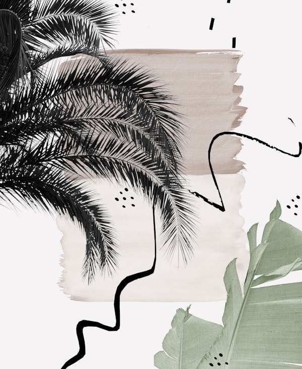 Banana Palms Naturelle 1