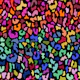 Rainbow Animal Print 2
