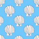 COCKLES Scallop Coastal Beach Seashells White
