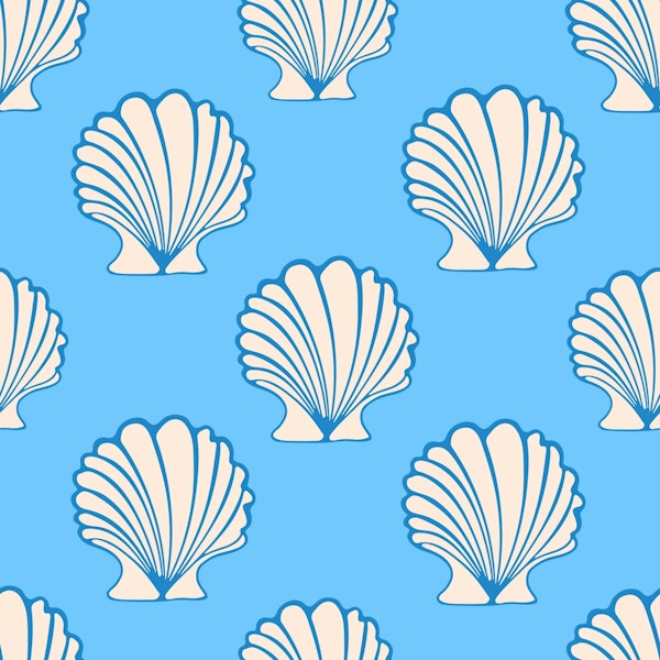 COCKLES Scallop Coastal Beach Seashells White