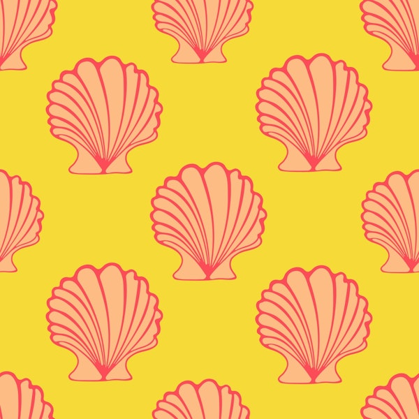 COCKLES Scallop Coastal Beach Seashell Yellow