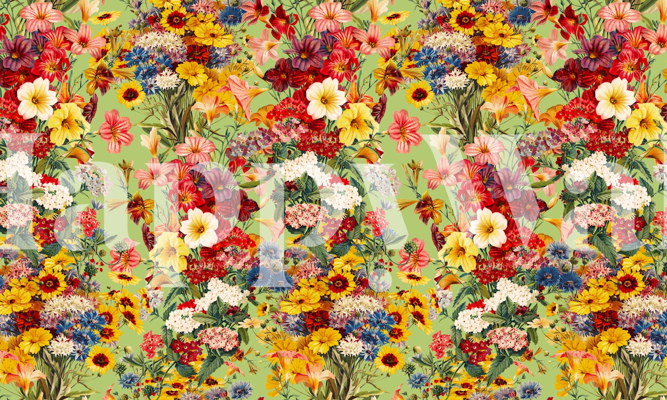 Wildflowers I wallpaper design in a room