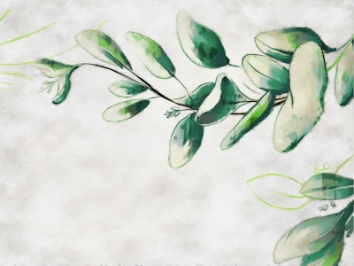Mural