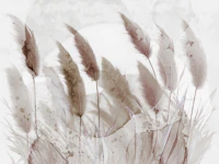 Light Pampas Grass wallpaper