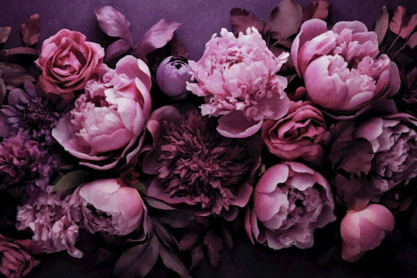 Nostalgic Flowers Pink Romance