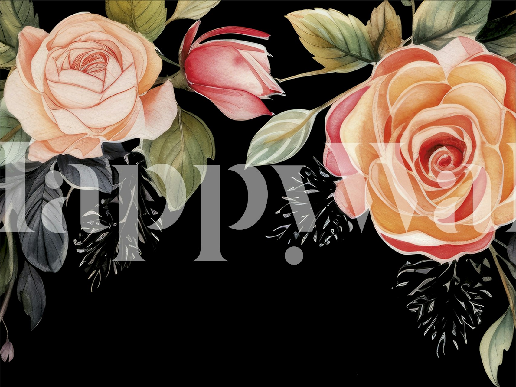 Colorful rose flowers with leaves on black background wallpaper