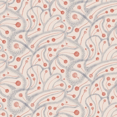 Modello