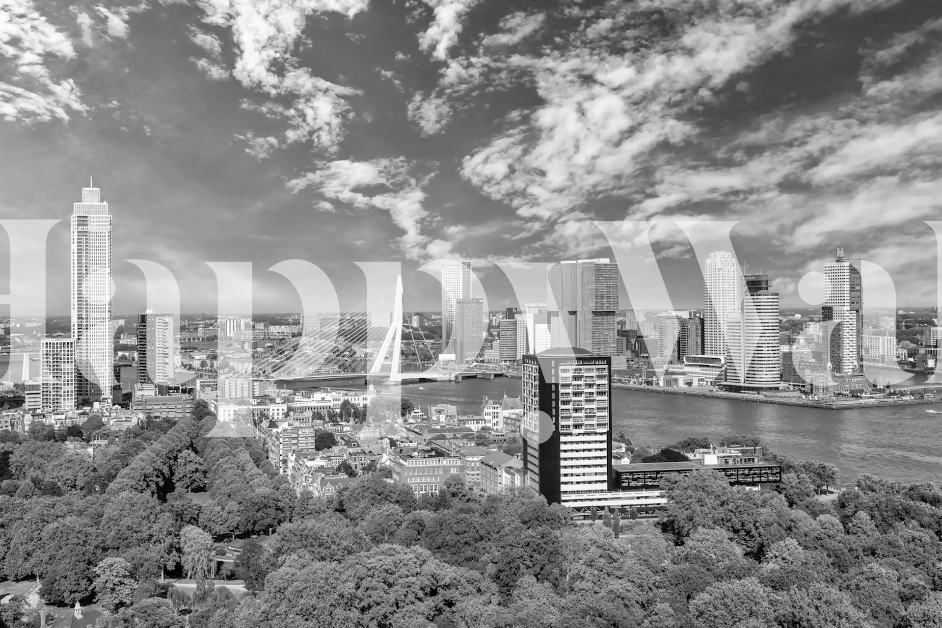 Monochrome skyline featuring Rotterdam cityscape, buildings, clouds, wallpaper