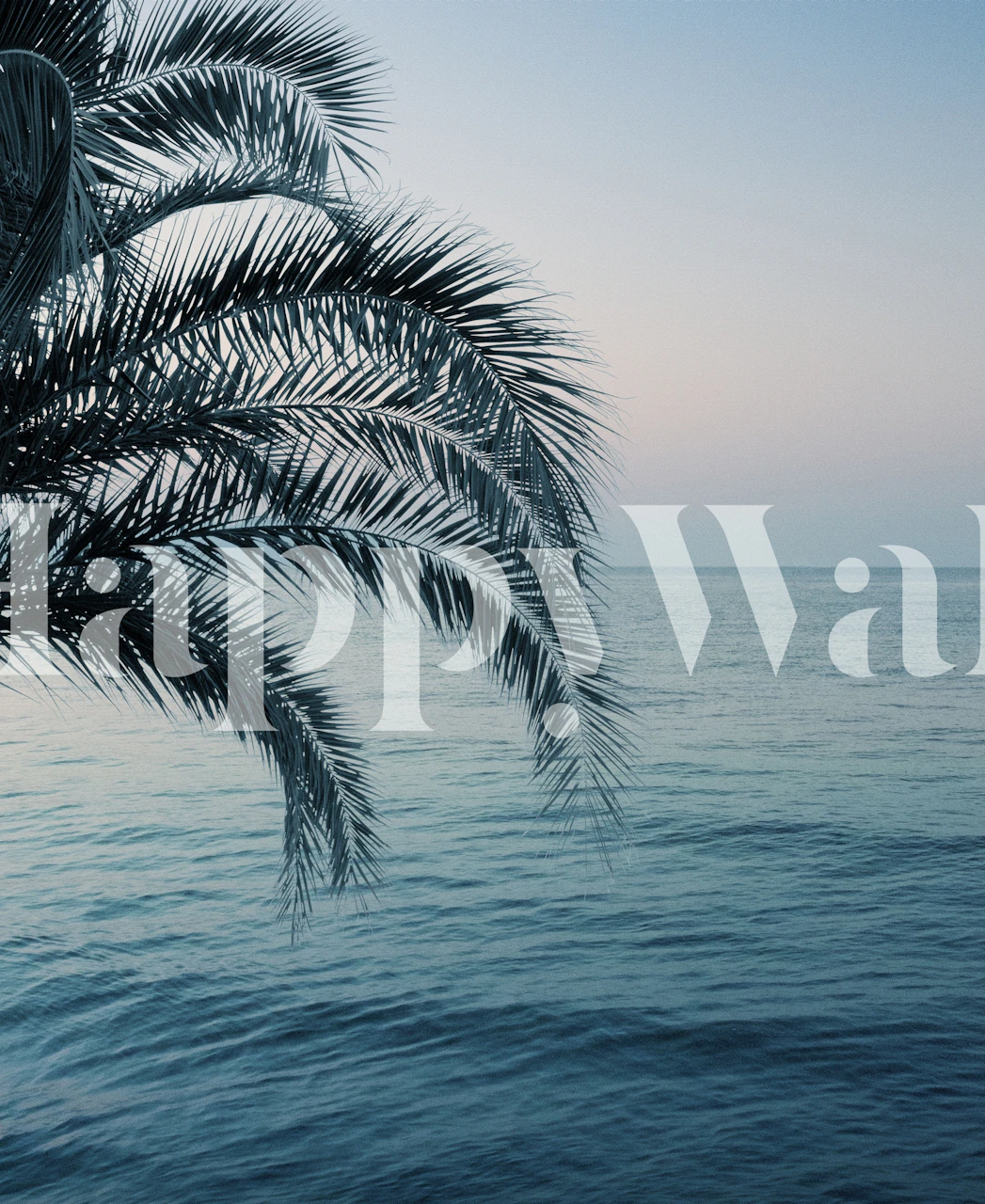 Tropical palm fronds overlooking a tranquil ocean at dusk wallpaper