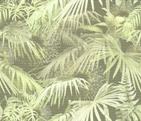 Tropically green tapetit