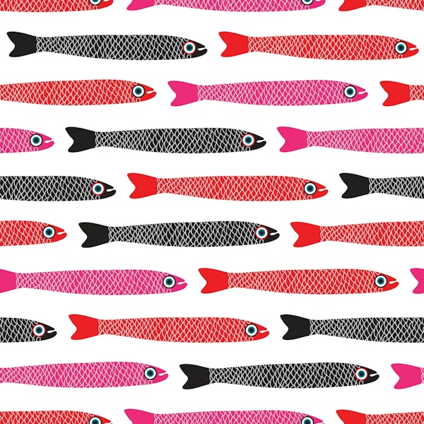 ANCHOVIES Retro Fish Horizontal White