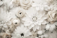 Blossom Cascade Floral Beauty Off-White tapete