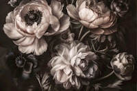 Baroque Maximalist Moody Flower Garden tapete