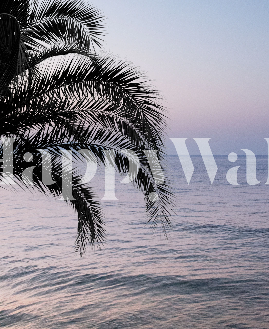 Tropical palm leaves over a soft ocean sunset wallpaper