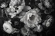 Baroque Maximalistic Flower Garden Greyscale