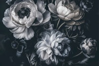 Blue Baroque Maximalist Midnight Flowers tapete