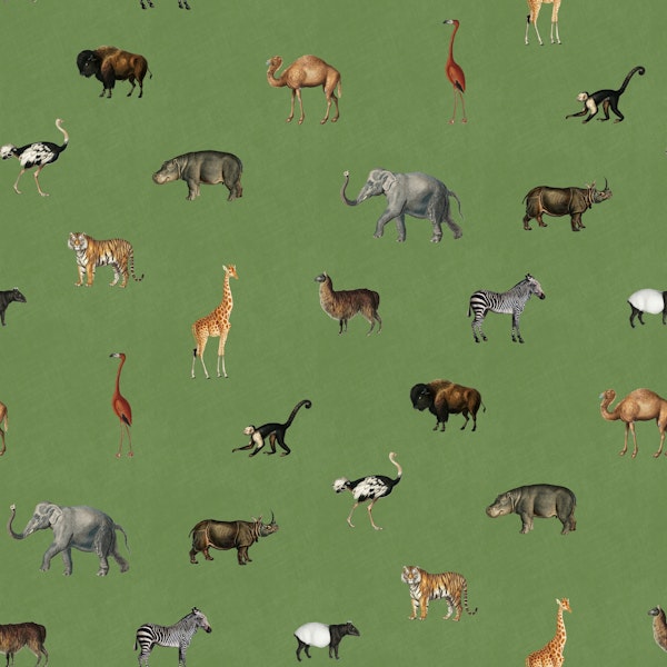 Savanna march in fresh olive green