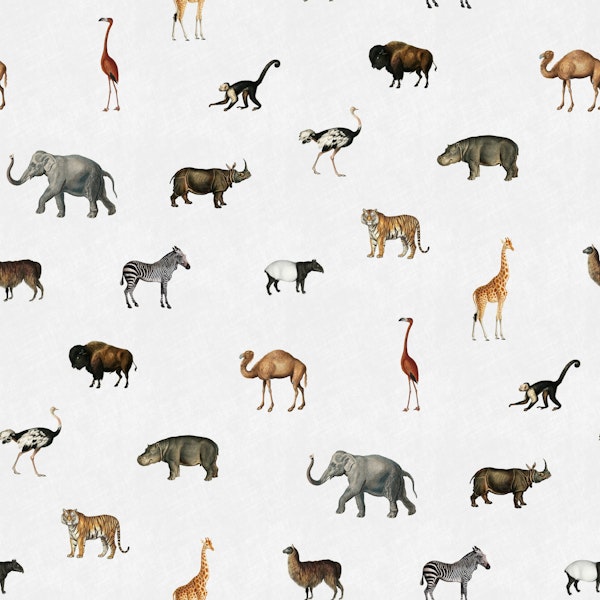 Savanna march in stone white