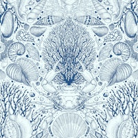Beach treasures in navy and pale blue wallpaper