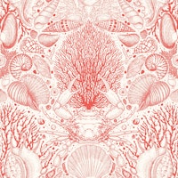Beach treasures in coral on off white wallpaper