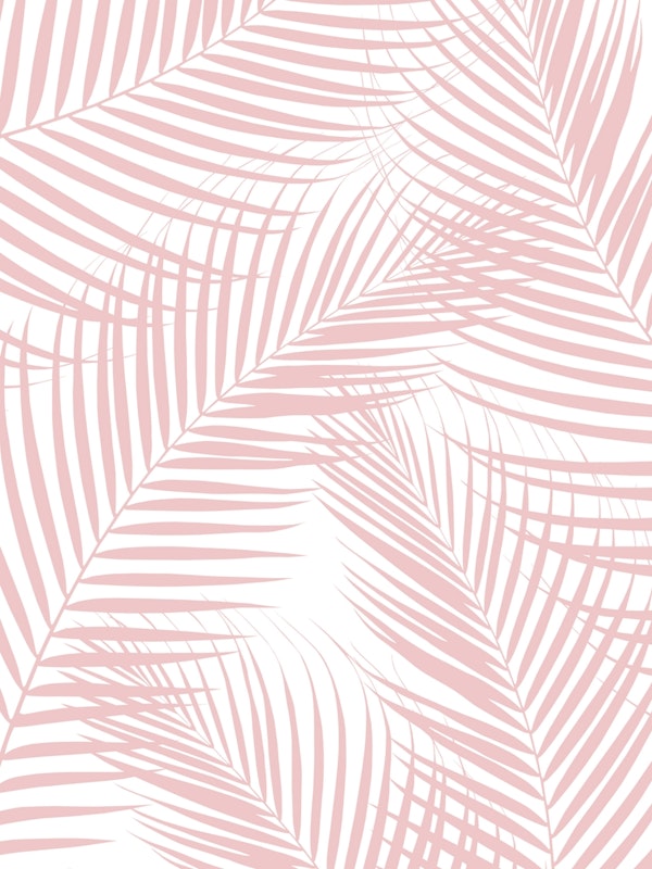 Blush Pink Palm Leaves Dream 2