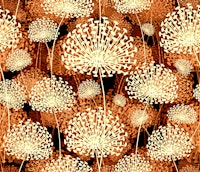 Dandelions Vintage Orange papiers peint