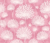 Dandelions Pink papiers peint