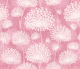 Dandelions Pink