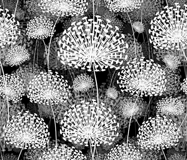 Dandelions Black & White