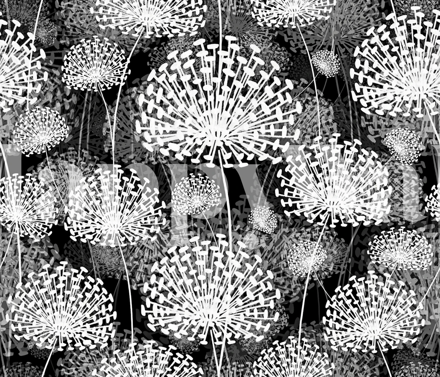 Papel pintado Dandelions en blanco y negro en una habitación