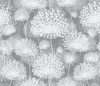Dandelions Gray papiers peint