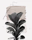 Fiddle Leaf Naturelle 2