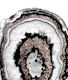 Gray Black White Agate 11a