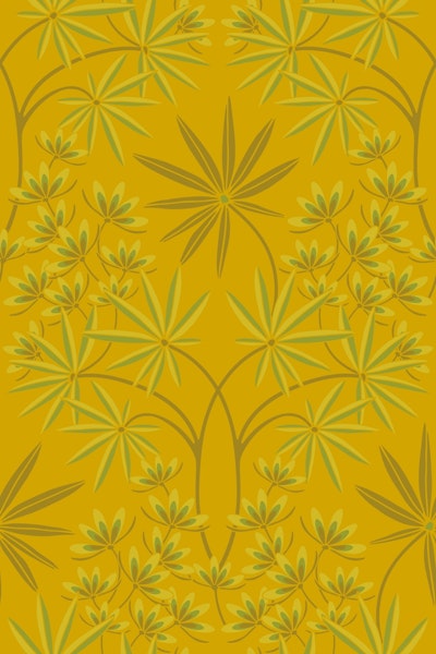 Modello