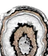Gray Black White Agate 11b
