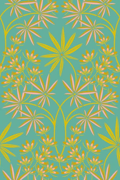 Muster