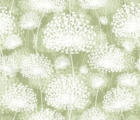 Dandelions Pastel Green papiers peint